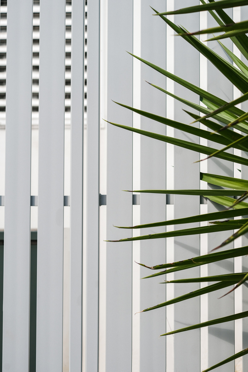 Plant and Blinds 